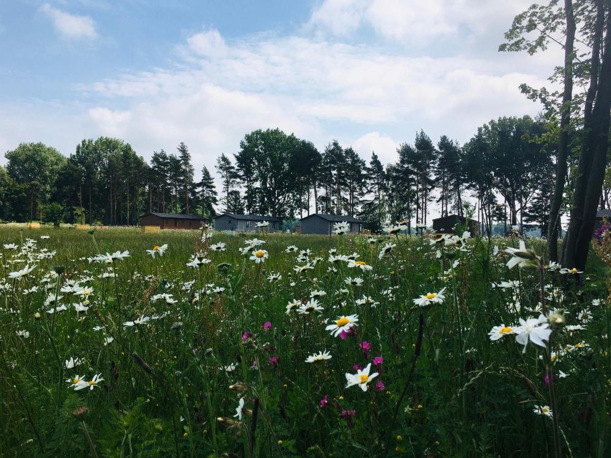 Hollicarrs - Wildflower Lodge يورك المظهر الخارجي الصورة