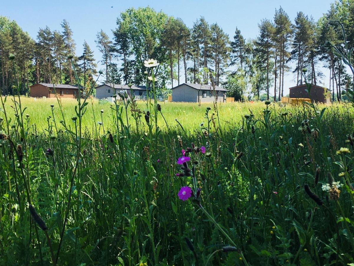 Hollicarrs - Wildflower Lodge يورك المظهر الخارجي الصورة